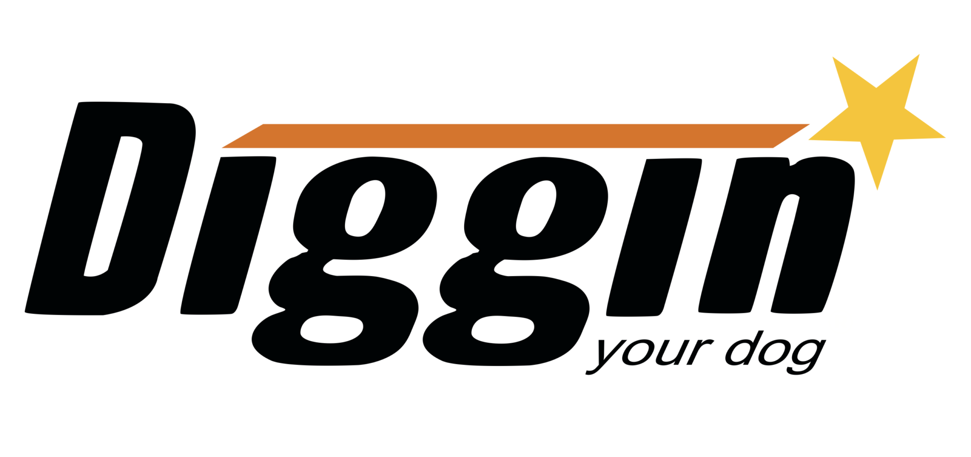 A logo of the company diggit.