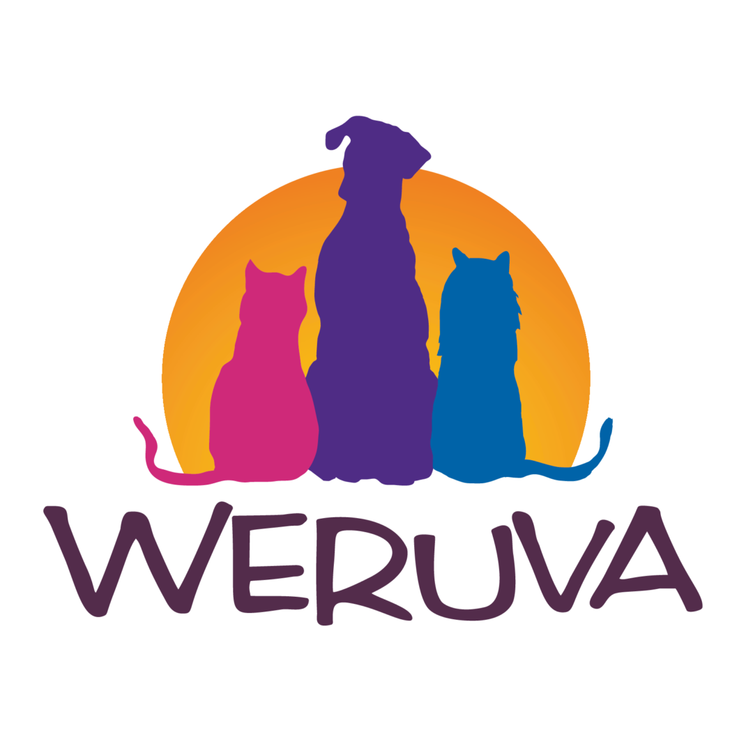 A group of cats and dog sitting in front of the word " weruva ".
